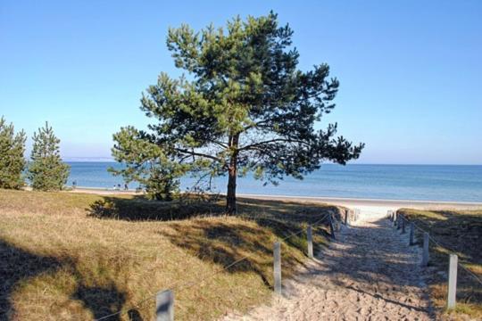 Strandvilla Aegir Mit Ostseeblick Ostseebad Ostseebad Binz Exterior foto
